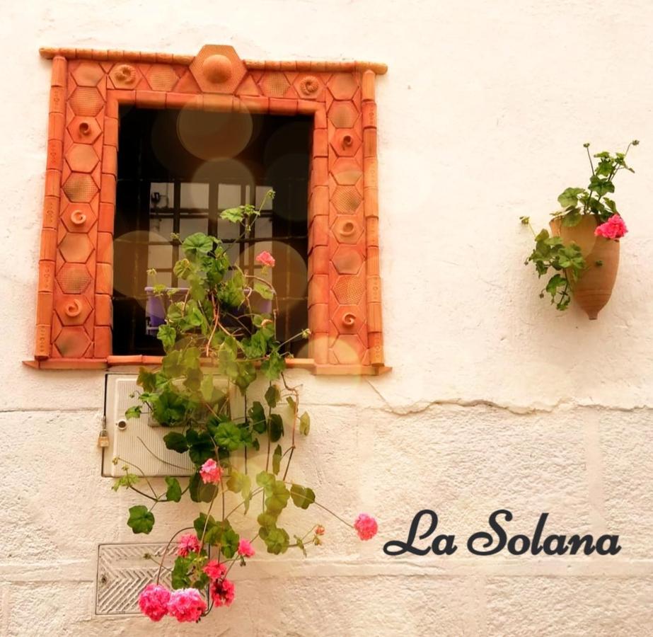 La Solana, Alojamiento Y Alfareria อาเรนัส เด ซานเปโดร ภายนอก รูปภาพ